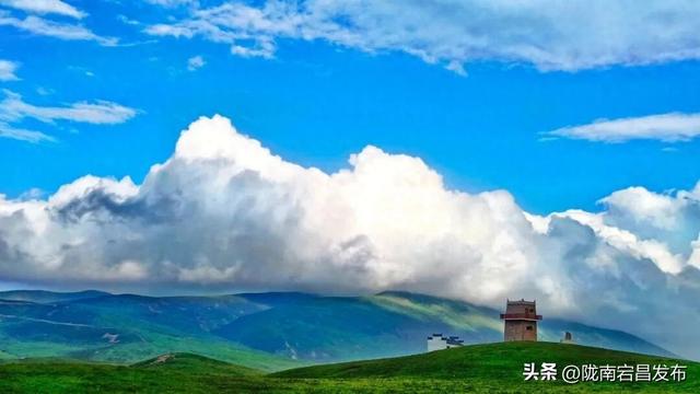 千年药乡•康养宕昌 | 别等！宕昌大草原的“绿毯”要收了，现在打卡正当时