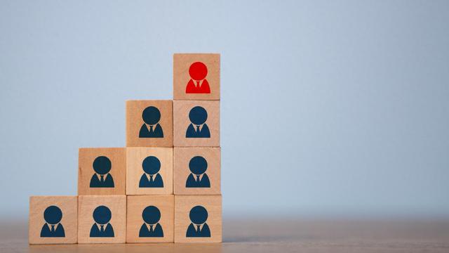 丸美生物改造管理层