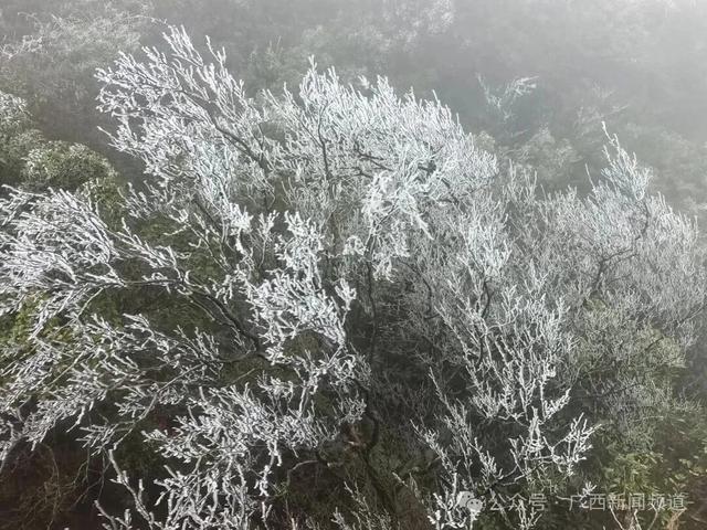 南宁大明山冰凌雾凇惊艳亮相