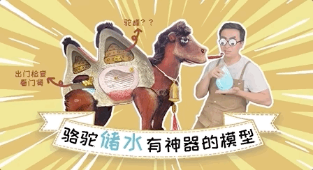 沙漠骆驼的驼峰的作用（骆驼的驼峰竟然不是用来存水的那它靠啥在沙漠里笑嘻嘻）