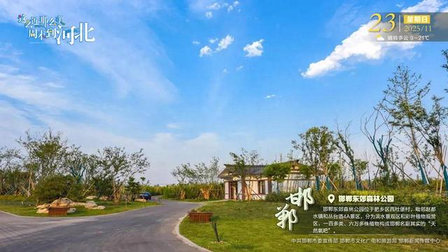 这么近 那么美 周末到河北 | 邯郸·邯郸东郊森林公园