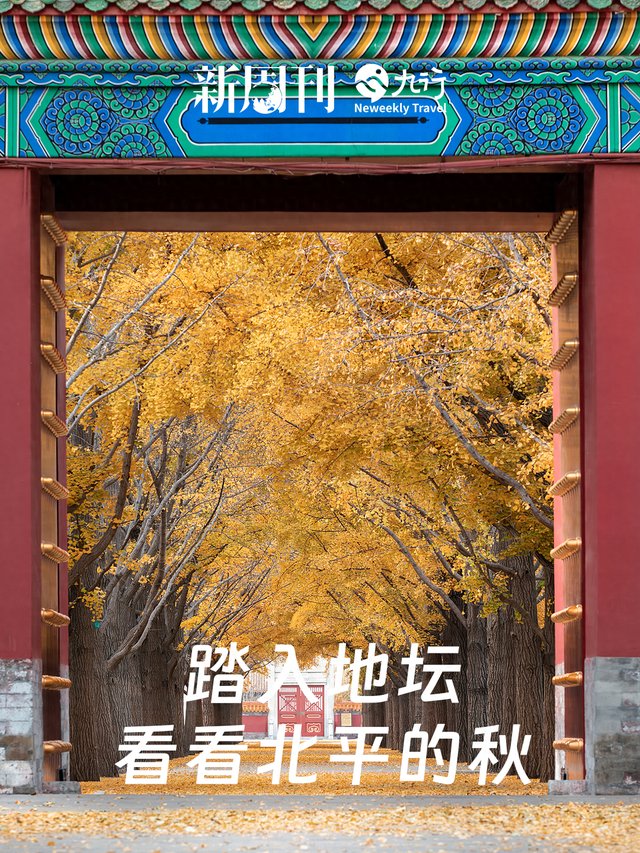 在北京花2元看“海”，这古早景点彻底翻红