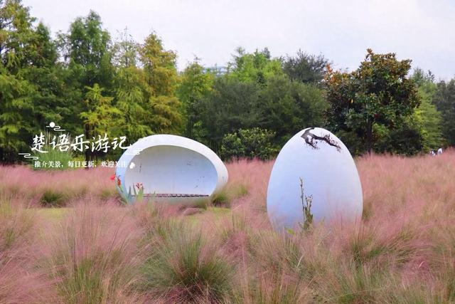 浙江宁波最受欢迎的粉黛园，其实没那么美，但周边的风景很值得游