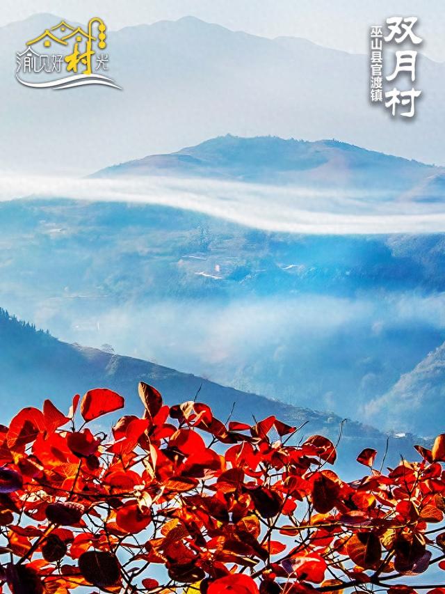 渝见好“村”光 | 巫山双月村：红叶如火，冬日C位绝了！