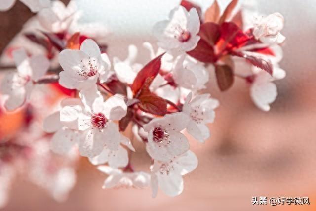 别痴迷情人了，这3种关系才最舒服