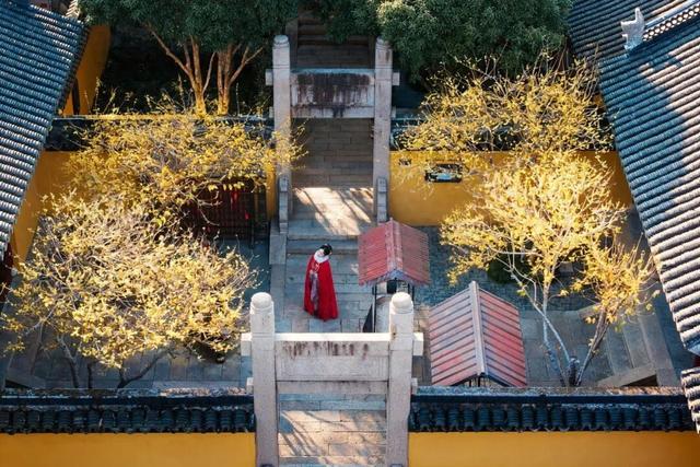 免票畅玩，还能收到一枝春花，西塘古镇送上给女神的三八节礼物