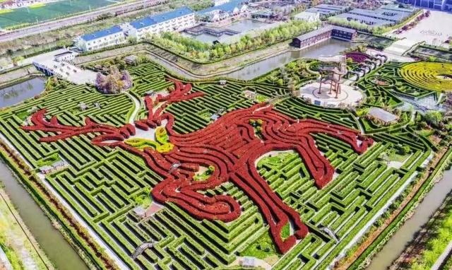 江波 I 谁在迷宫里埋下梦幻的密码