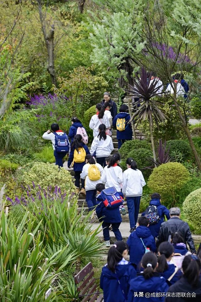 环保志愿 “趣”游蓉城 | 在自然课堂里种下生态保护的“童心种子”