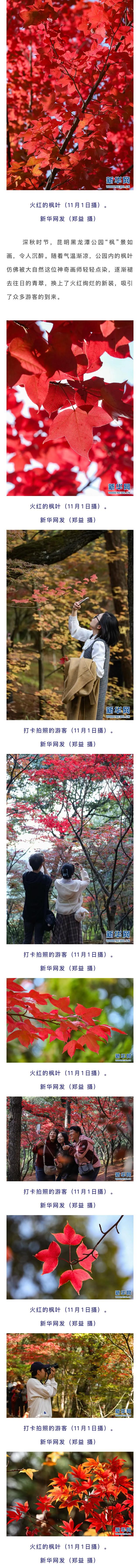 新华网首页～黑龙潭公园“枫”景如画