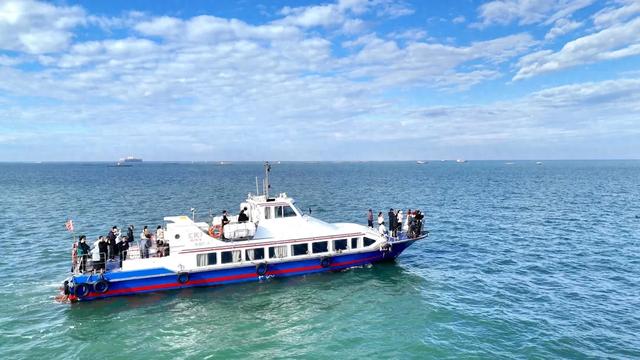 好粉,好可爱:上海媒体大V在湛江滨海喜见中华白海豚