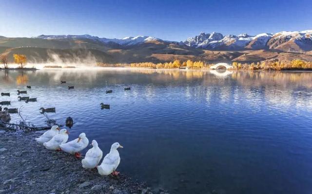 甘孜县的冬天真的太适合慢慢游了！