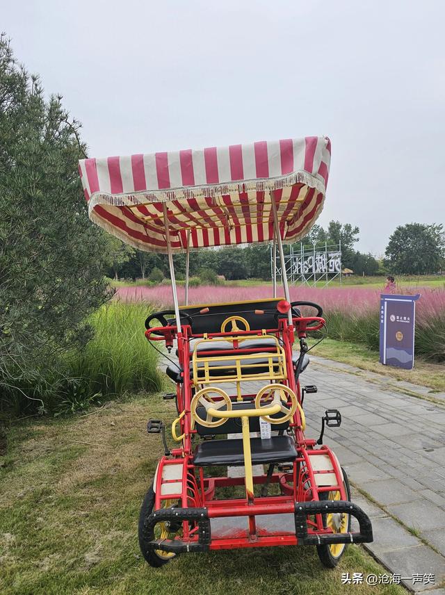 宜人的秋色，漂亮的秋景，温暖的秋风，一副秋的模样一派秋的景致
