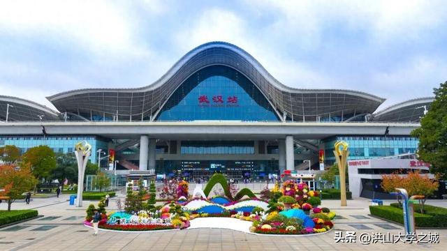 武汉洪山区第38届金秋菊展华美启幕