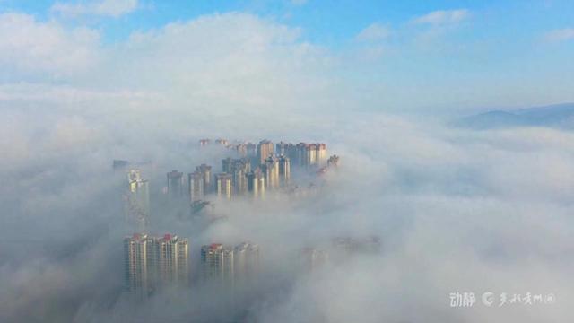 云海漫红果，仙境入画屏