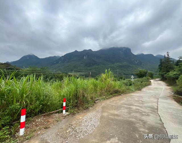 阳山又有一景