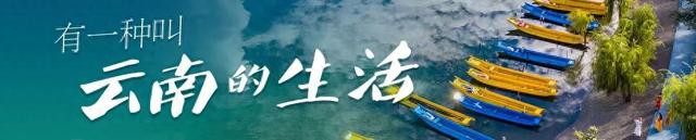 泸水：高温“烤”验催热“清凉经济”