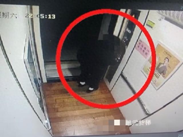 天天换装破解版下载（爬水管上20楼偷东西）