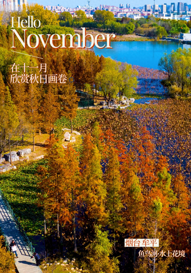 最新实拍！烟台鱼鸟河“顶级秋色”加载中