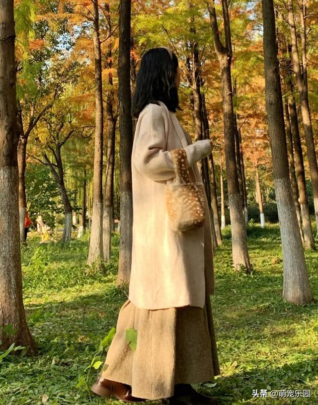 大热天穿毛衣去鄞州公园，水杉林里拍出惊喜美照