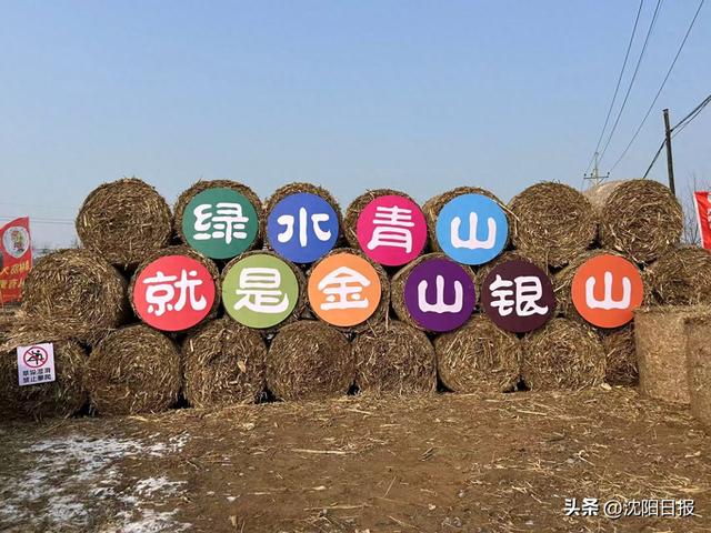 沈阳魏家沟“草滚迷宫”火了！日均千人打卡，玩累再吃铁锅炖大鹅