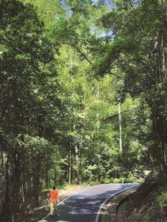 首批10条羊城最美徒步路线出炉 番禺两条路线成功入选