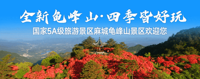 开封 “王婆” 与你相约麻城龟峰山，这个冬天在龟峰山，围着吊锅交朋友