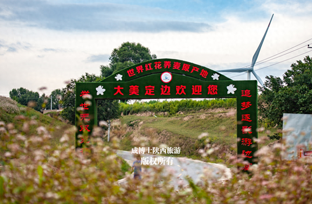 陕西8月份最大的荞麦花海，感觉不是很火，什么原因呢？
