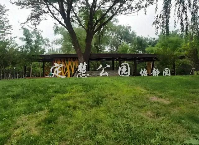 绿荫深处鸟欢唱