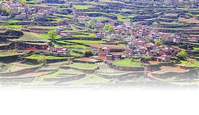 层林掩映间 藏寨经久传（走进传统村落）