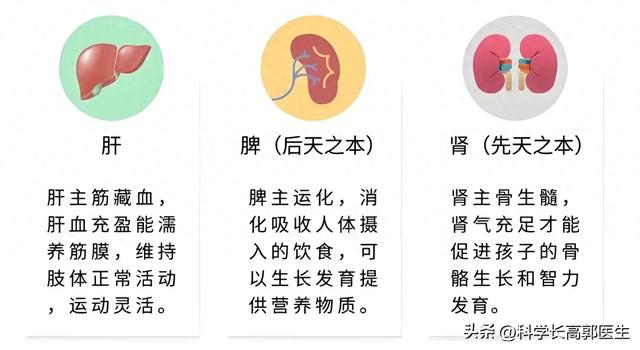 孩子能不能长高，看脸就知道！长得高的孩子，脸上有3个优势特征