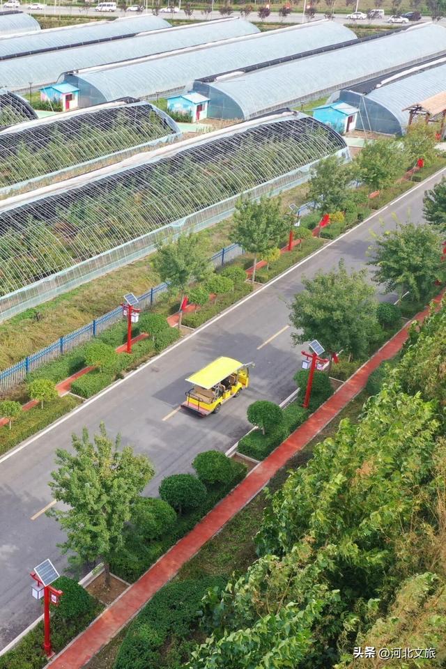 固安：打造京津冀文旅康养新地标