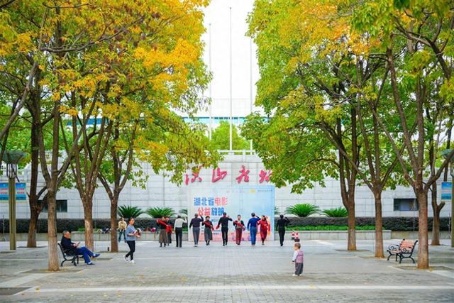 落叶缓扫留秋韵，洪山广场秋意浓