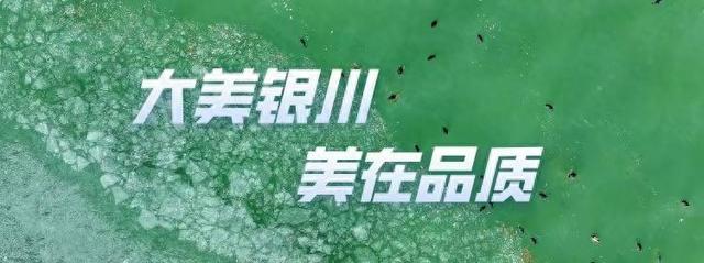 大美银川 美在品质 | 马家滩镇小朋友的心愿礼物已送达