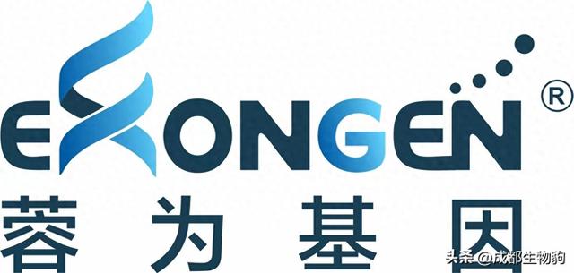 pcr体系的优化（PCR 解决方案之结果分析及优化方法）