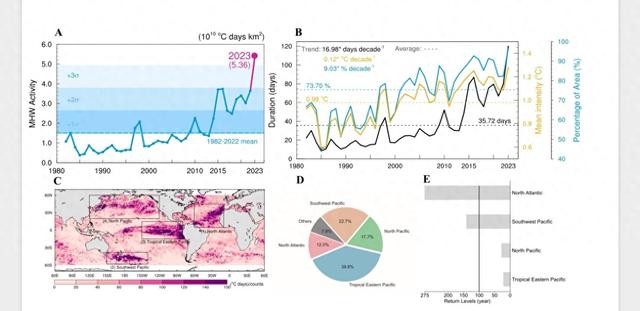 东方理工团队Science发文，揭示全球极端高温关键推手
