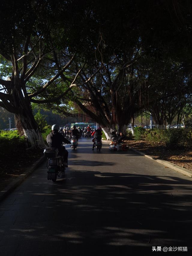 世界最长的跨海石桥安平桥在世界石材之都水头镇 双龙千里走双骑8