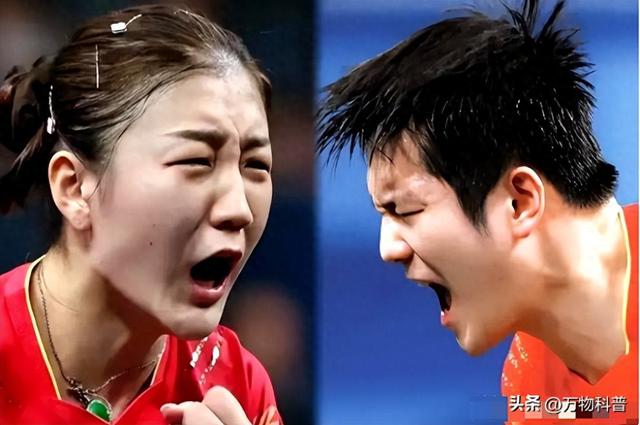 夺冠还不到24小时，恶心的事出现了，原来樊振东和陈梦的处境一样