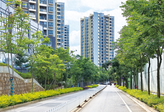 滇中新区提速“绿美新区”建设，绘就宜居宜业宜游新图景