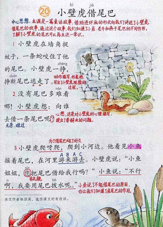 壁虎的尾巴特点介绍（一年级语文下册）