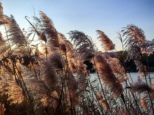 用电影的方式“打开”初冬！每一帧，都浪漫