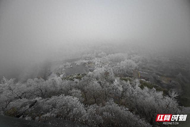组图丨琼枝玉树映飞山 靖州雾凇绘就冬日诗画