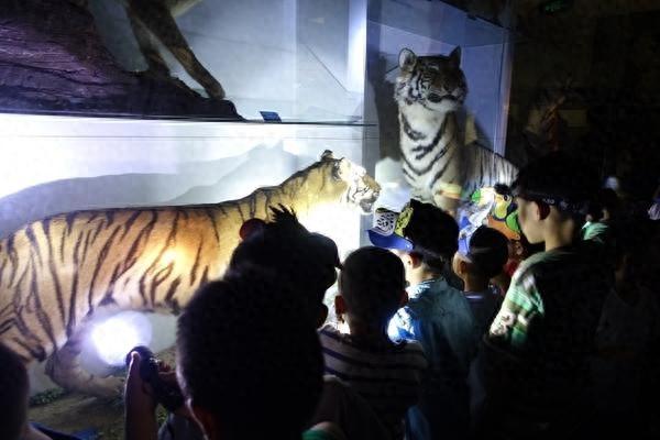 夜宿博物馆一票难求