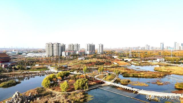 鹤壁冬日淇水畔：烟火与古意温柔叠合