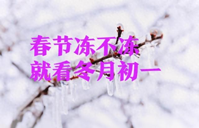“春节冻不冻，就看冬月初一	”	，今日冬月初一，2026年春节冷吗？