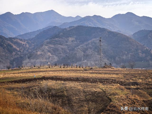 观山景看荻花，这里大概是蓝田最出片的地方了