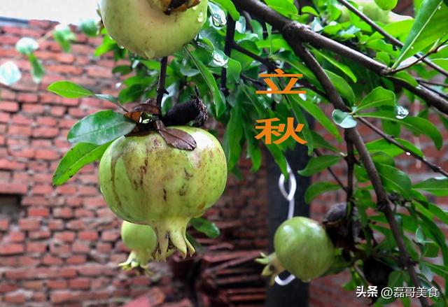 不是迷信！今日立秋，莫忘：“1不洗，忌2样，吃3样”，顺利入秋