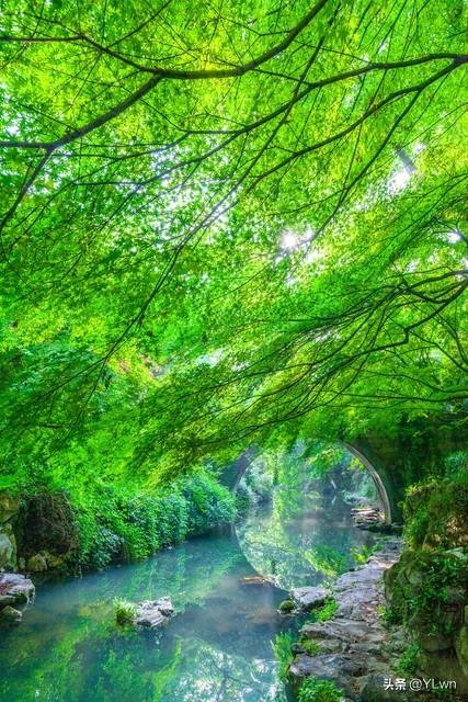 西湖十景柳浪闻莺攻略