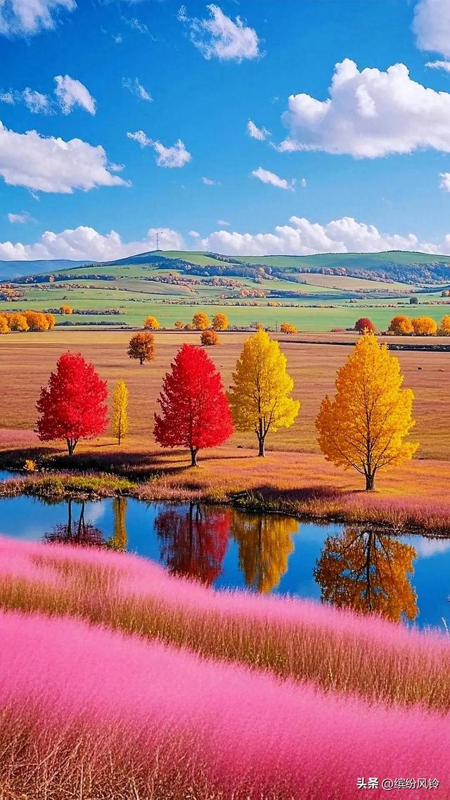 秋把山野调得浓烈