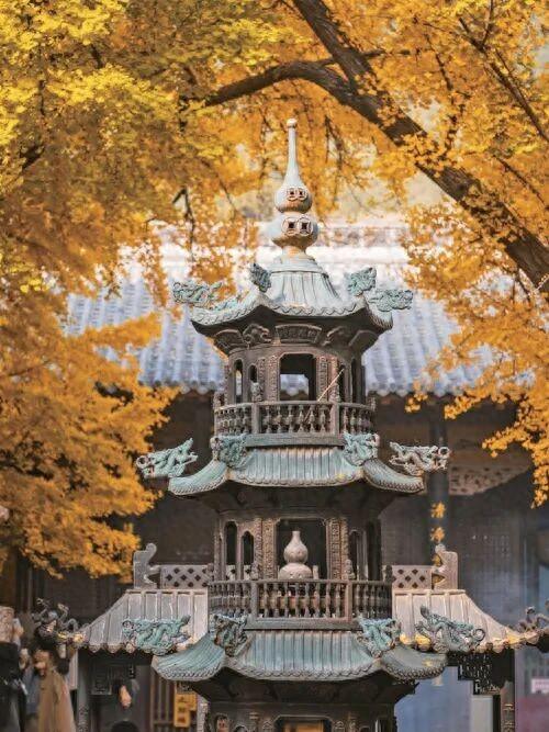 济南文旅 | 满城红黄绘就秋日限定美景 “赏叶经济” 助力文旅高质量发展