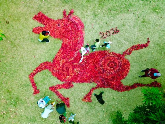 深圳公园的木棉花，开出了一匹“马”！